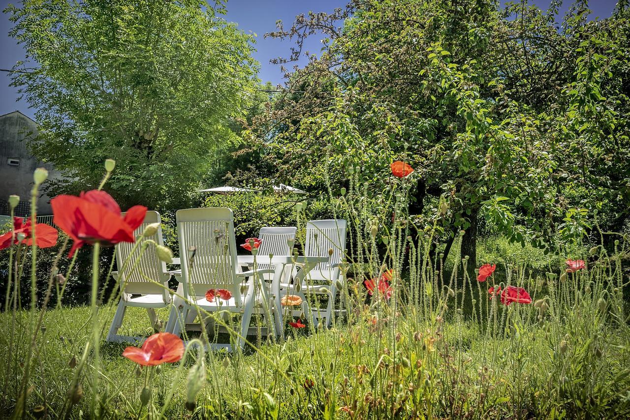 Logis Hotel Restaurant Le Mont Aigoual 메이루아이즈 외부 사진